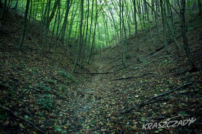 Kraszczady