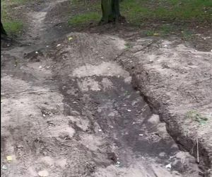 Urządzili sobie tor przeszkód w zabytkowym parku