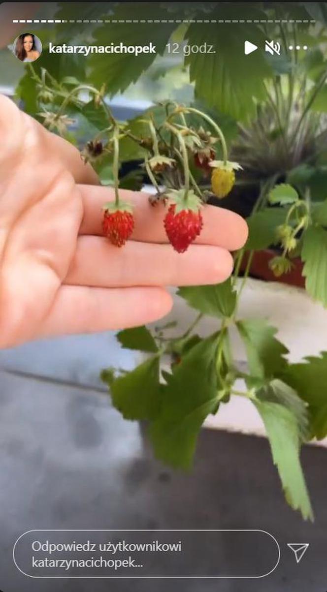 M jak miłość: Katarzyna Cichopek (Kinga) walczy ze szkodnikami na Instagramie