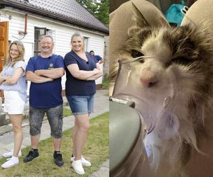Kotek w stanie agonalnym został odebrany rodzinie