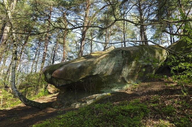 To miasto w Małopolsce jest kolebką turystyki. Legenda głosi, że założył je stryj Mieszka I