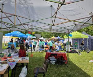 Festiwal Przyjaciół Zwierząt w Olsztynie. Park Centralny opanowały radosne pieski