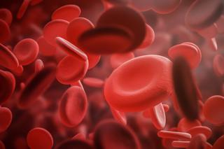 Hemofilia - zaburzenie krzepnięcia krwi