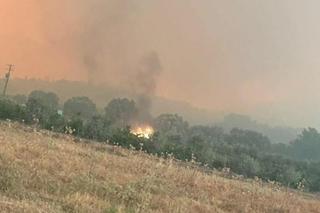 Wiceminister Andrzej Gut-Mostowy na Rodos 