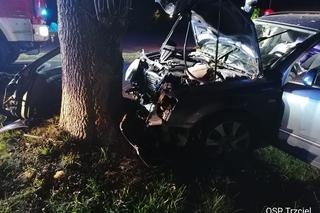 Tragiczny wypadek między Trzcielem, a Zbąszyniem