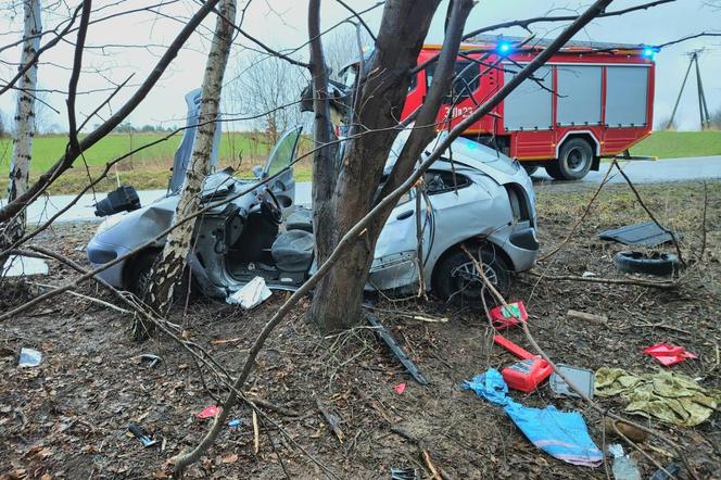 Tragiczny wypadek w Zrąbie w pow. zamojskim. Auto roztrzaskało się na drzewie