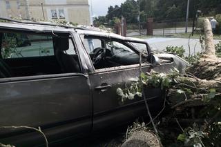 Silny wiatr w Grudziądzu. Są zniszczenia aut