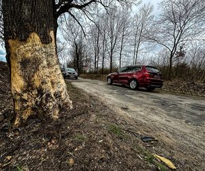Tragiczny wypadek pod Dobrzykami. Mateusz zginął 400 metrów od domu