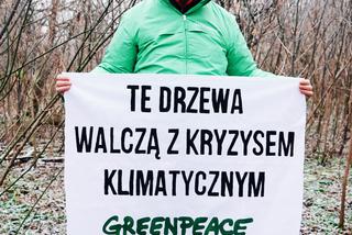 Aktywiści Greenpeace bronią drzew nad Wisłą