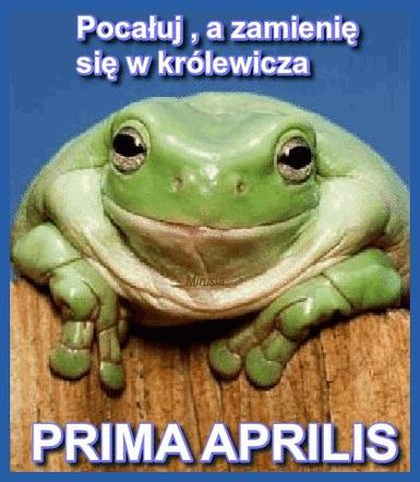 Kartki i grafiki na Prima Aprilis 2026. Pobierz za darmo i świętuj 1 kwietnia z humorem!