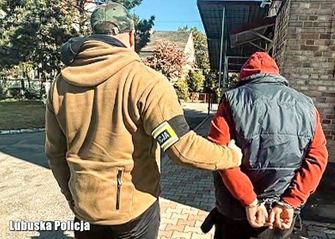 Policja rozbiła szajkę złodziei! Wśród łupów zabytkowe BMW