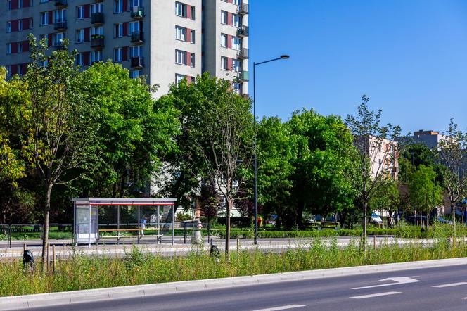 Przebudowa ul. Kondratowicza w Warszawie – nowy asfalt i drzewa