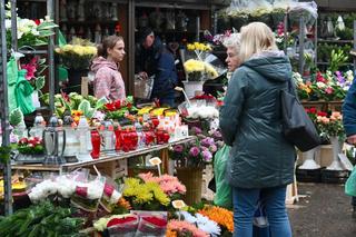 Porządki na Cmentarzu Centralnym w Szczecinie