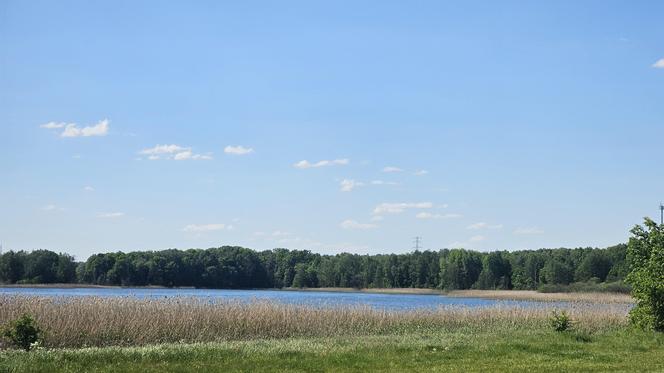 Było, zniknęło i... powróciło. Zobacz magiczne jezioro Track na obrzeżach Olsztyna [ZDJĘCIA]