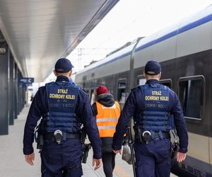 22-latka zatrzymana w pociągu. Próbowała kombinować