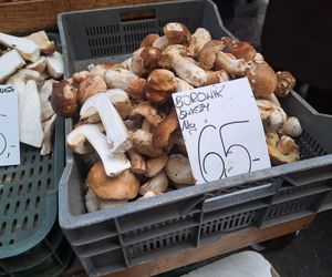 Ceny grzybów na Nowym i Starym Kleparzu w Krakowie