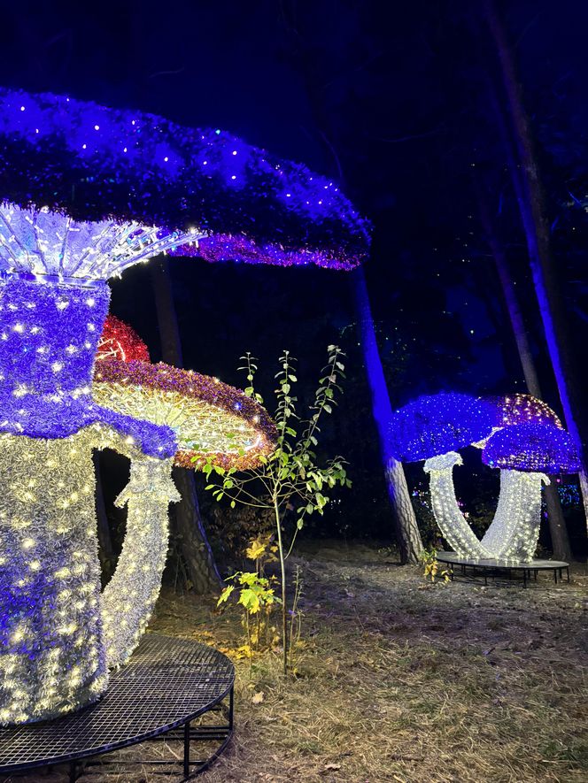 Lumina Park Poznań w święta 