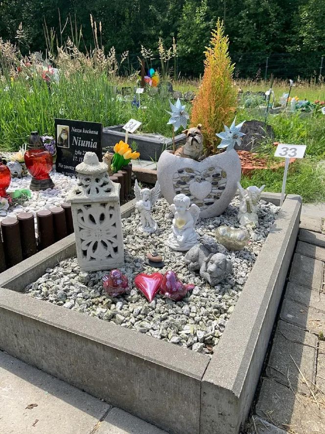 W całym woj. śląskim jest tylko jeden taki cmentarz. Miejsce, gdzie pamięć o pupilu nie umiera