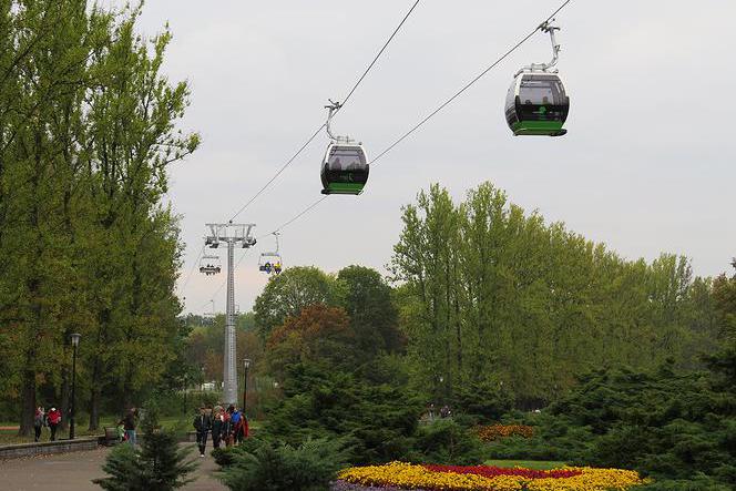 Remont Fali, Kręgów Tanecznych i hali Kapelusz. Modernizacją Parku Śląskiego nabiera tempa