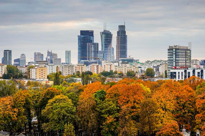 Spójrz na Warszawę z góry! Te punty widokowe zapewnią niezapomniane wrażenia