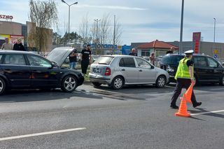 Domino na Konstytucji w Lesznie