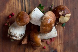 Prawdziwki smażone na maśle - pełnia leśnego aromatu [przepis na borowiki]