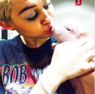 Cyrus pozuje ze świnią