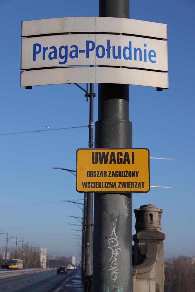  Wścieklizna atakuje w Warszawie