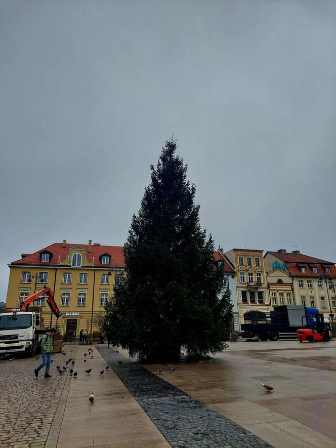 Bydgoszczanie już myślą o Świętach Bożego Narodzenia. To jedyny w Polsce jarmark na moście