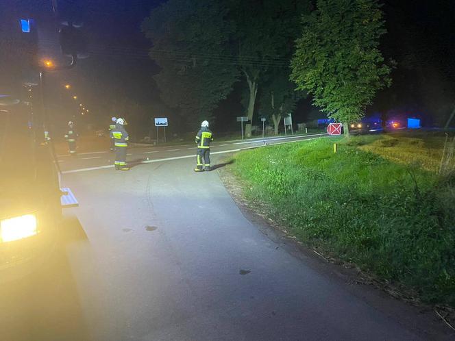 Rogienice Wielkie. Śmiertelny wypadek motorowerzysty na DK 63 [ZDJĘCIA]