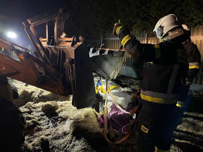 Strażacy z Solca Kujawskiego stawiali konia na nogi! Nietypowa interwencja na wagę życia