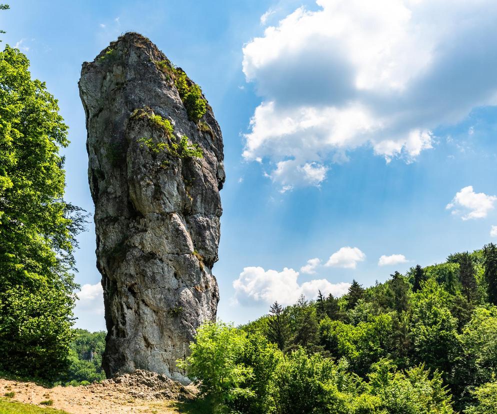 Przewodnik po Ojcowskim Parku Narodowym - co trzeba zobaczyć? 