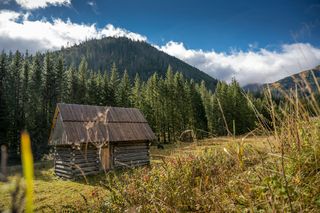 To największa dolina w polskich Tatrach. Sprawdzi się na wycieczkę rowerową i zabierzesz tu psa [GALERIA]
