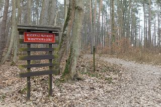 Bursztynowa Góra