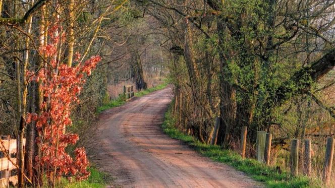 Ta malutka miejscowość na Podlasiu z nazwy w ogóle nie przypomina Polski. Znajdziesz ją w każdym przewodniku