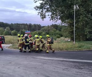 Przytoczna. Śmiertelny wypadek na DK 24. 49-latek nie żyje [ZDJĘCIA].