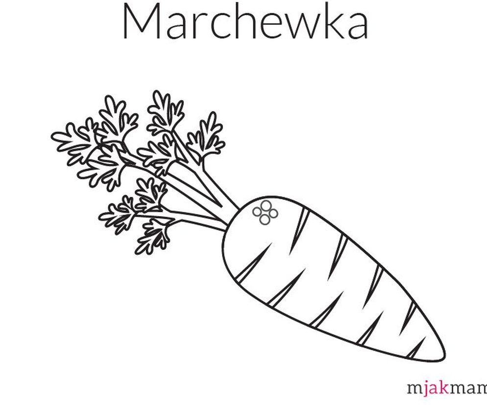 marchewka kolorowanka