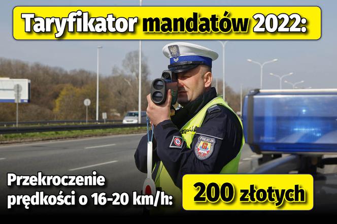 Taryfikator mandatów 2022 