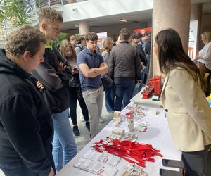 Targi Pracy na UWM 2025. Ogromne zainteresowanie wydarzeniem. Zobacz zdjęcia!