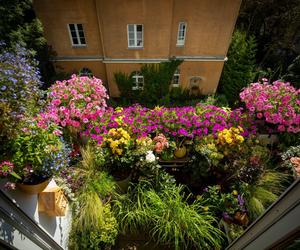 1. miejsce w kat. Balkony, loggie i okna: Van Pham i jej balkon na Ochocie