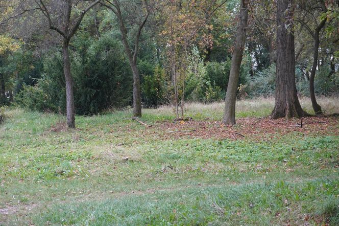 Park w Skarżysku-Kamiennej w opłakanym stanie! 