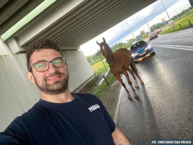 Policjanci zaopiekowali się koniem