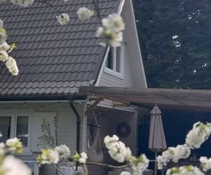 Małgorzata Rozenek-Majdan bez makijażu. Nie wygląda na swój wiek!