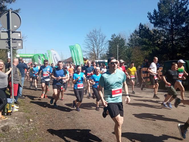 II edycja Bronek Run Forest Edition w Grudziądzu