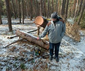 Drzewo zabiło Zygmunta, gdy testował piłę. Widziałem błysk w jego oku, gdy ją sobie kupił