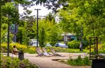 Park linearny przy ul. Suwak w Warszawie
