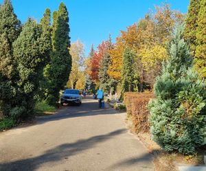 Korki i pełne parkingi. Tak wygląda sobota przed cmentarzem na Junikowie