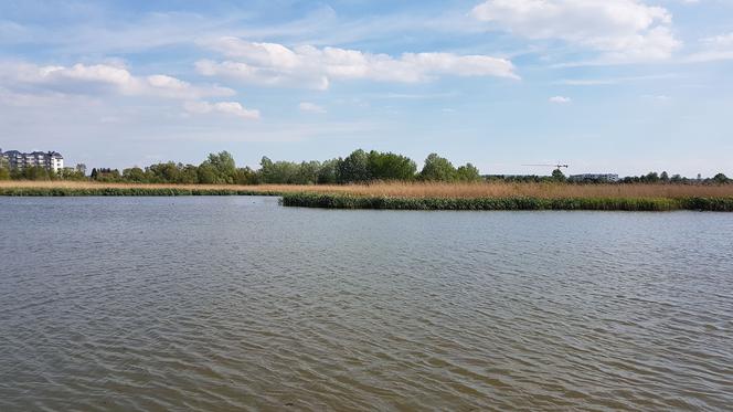 Wezwali strażaków do pływającej rowerkiem po rzeszowskim zalewie. Dlaczego? 