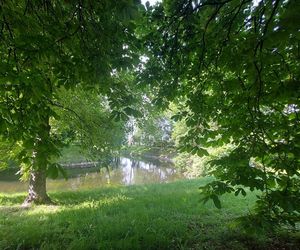 Park Miejski w Zamościu