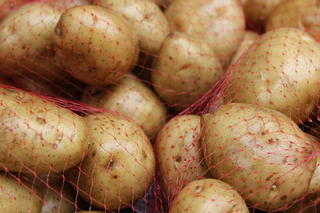 Młode ziemniaki z Polski produktem luksusowym? Ceny mogą podnieść ciśnienie